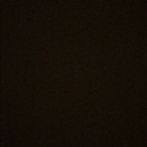 Meet your Posher, Torrey